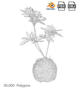 Free-3Dmodel-mossball-japanese-plants