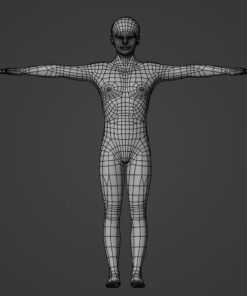 ワイヤーフレーム-無料3D人体_人間_人_男性_日本人_フリー